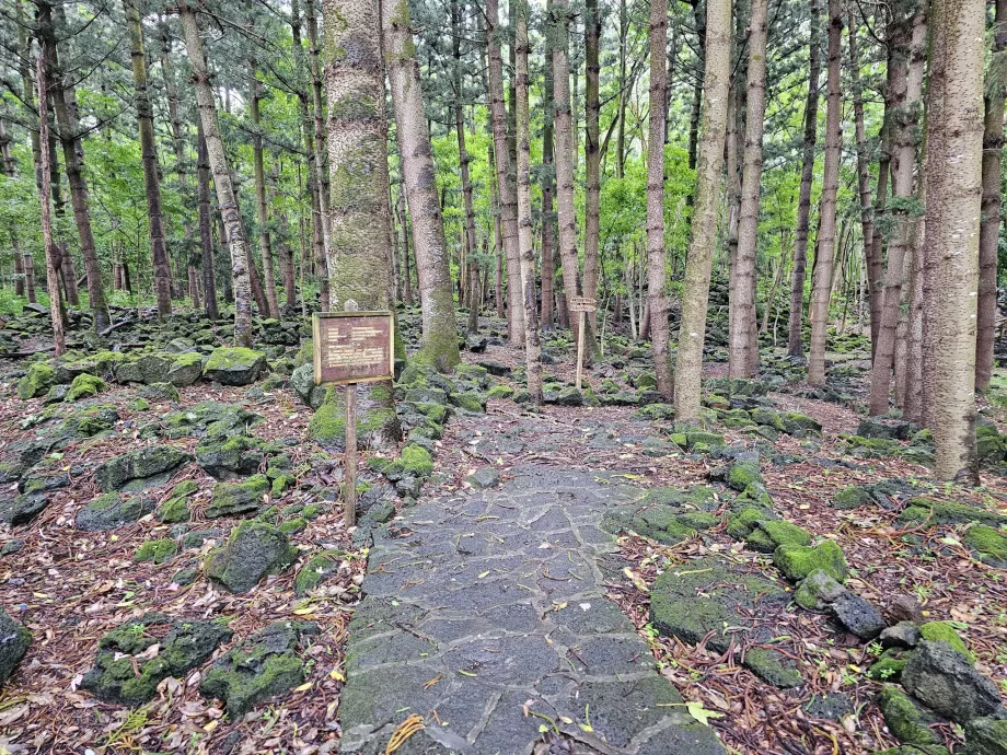 Bras d'Eau nacionalinis parkas, pėsčiųjų takas