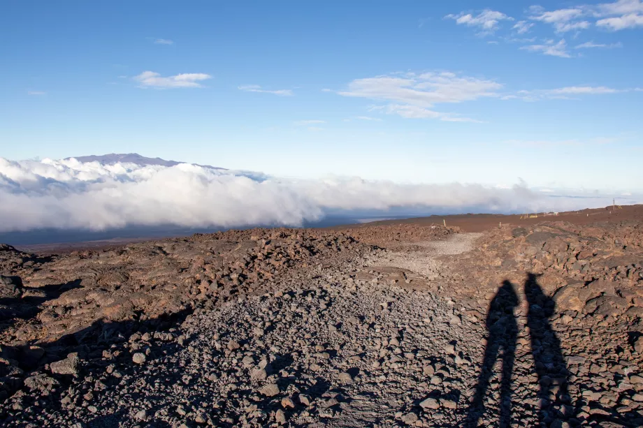 Mauna Kea viršūnė
