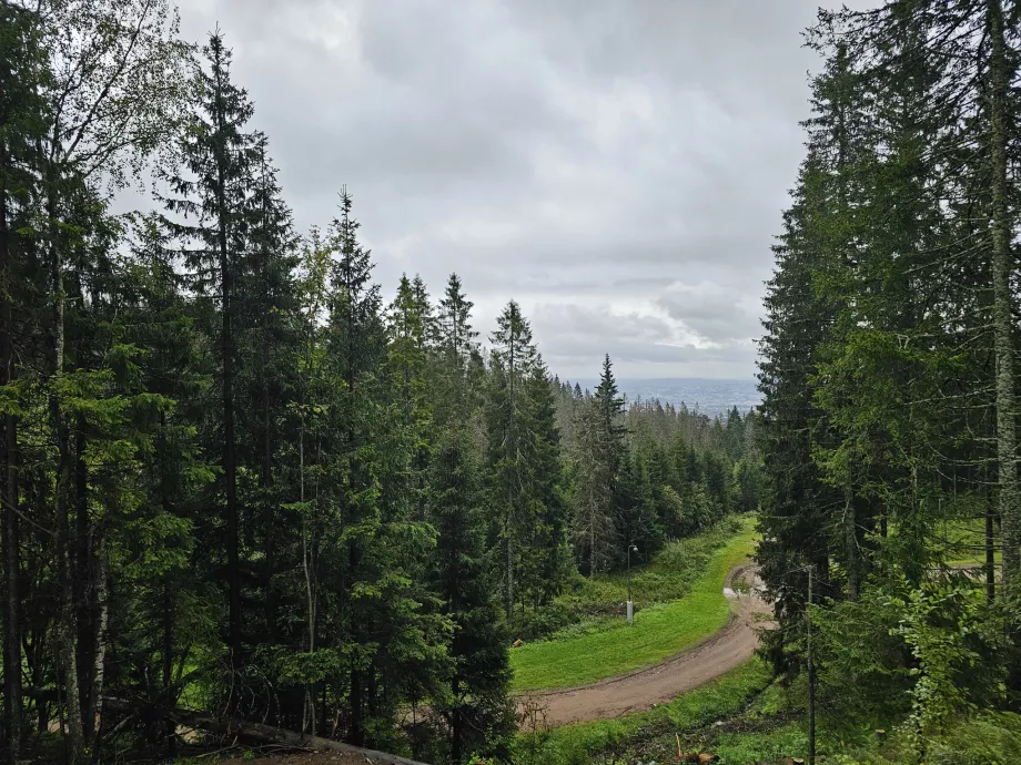 Žygiai pėsčiomis Holmenkollen