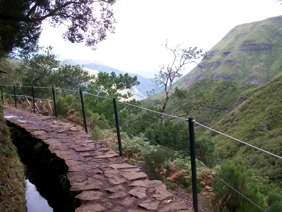 Levada nuomonė