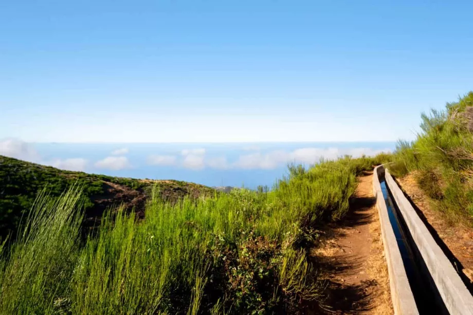 Levada - Pauliui