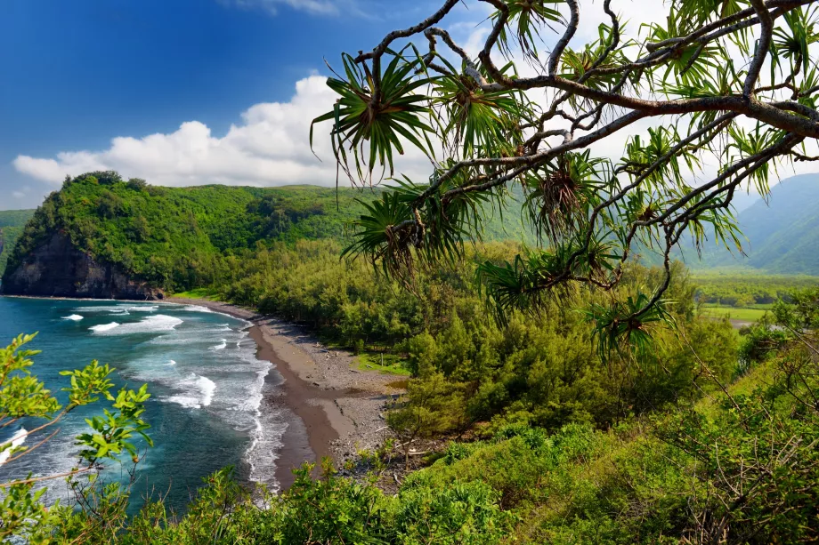 Pololu takas