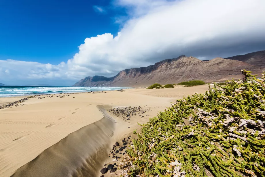 Famara paplūdimys