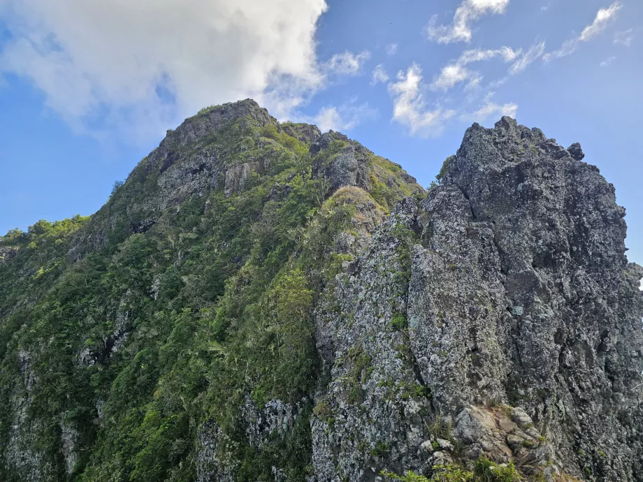 Tikrasis Le Morne akcentas
