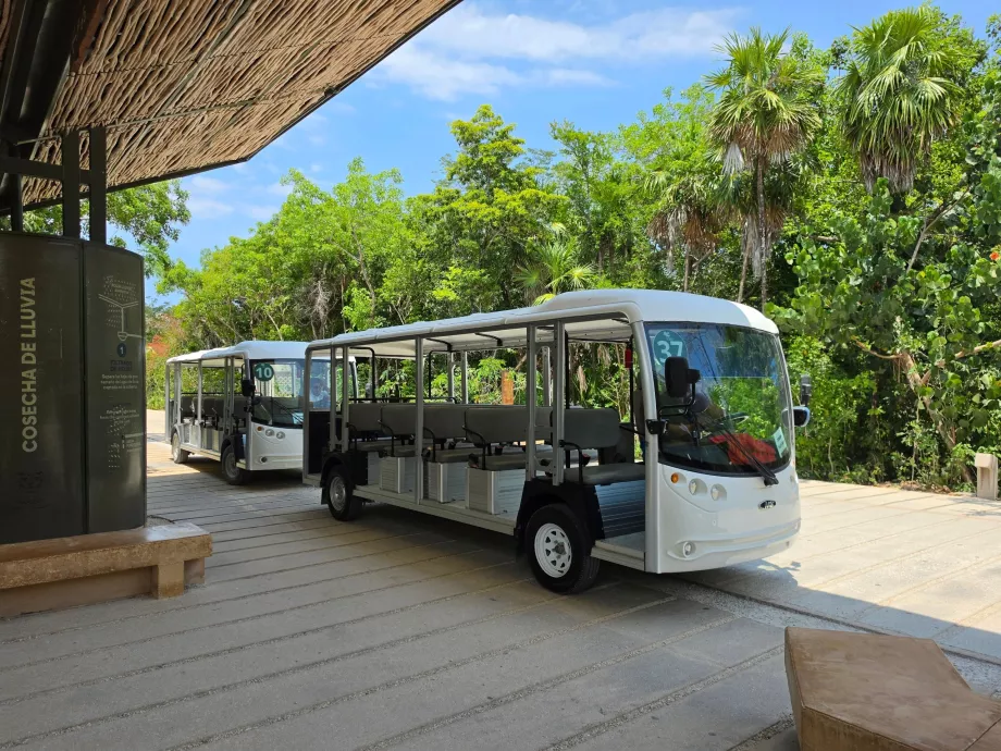Tulumo archeologinė vietovė, kelionė elektriniu autobusu