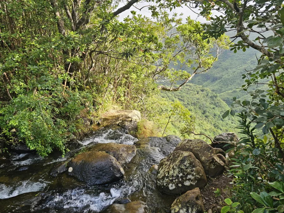 Machabės kilpa