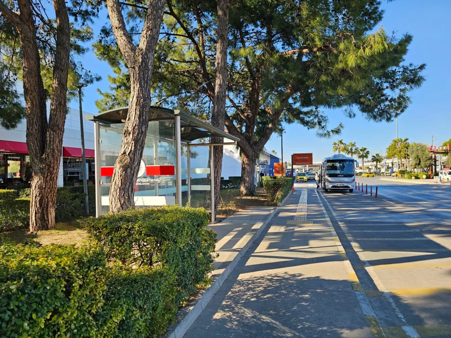 Miesto autobusų stotelė priešais 1 terminalą