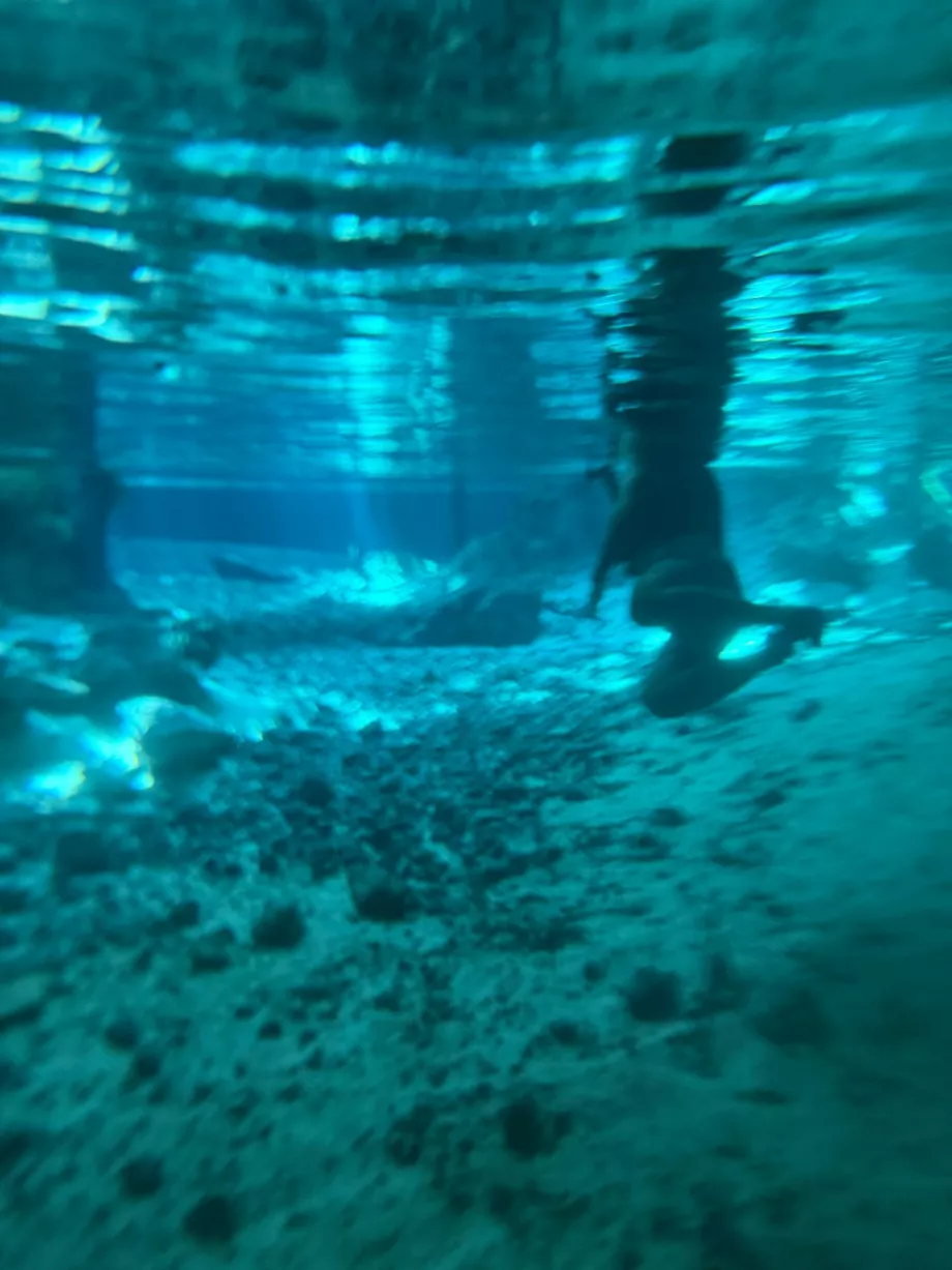 Vaizdas po vandeniu Gran Cenote