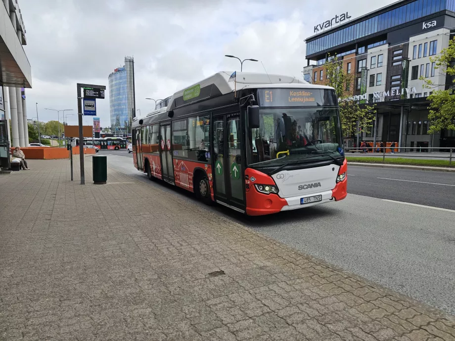 E1 autobusų stotelė miesto centre