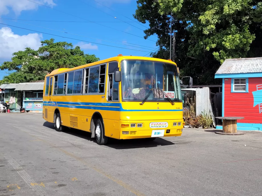Mikroautobusas Barbadosas