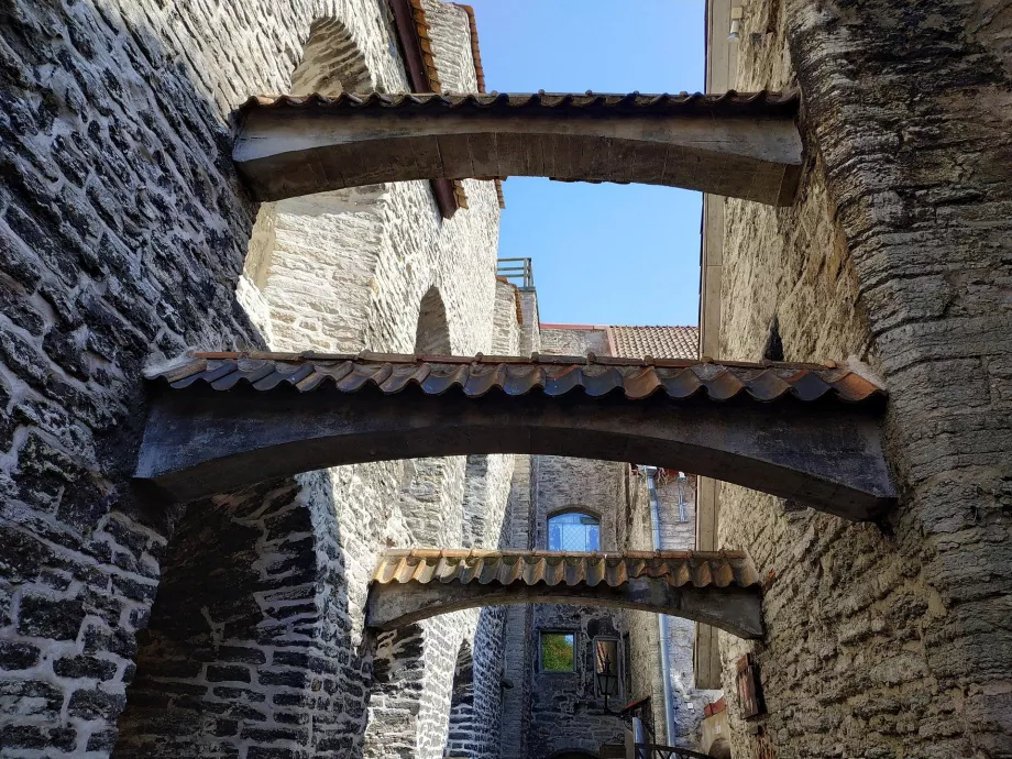 Šventosios Kotrynos perėja