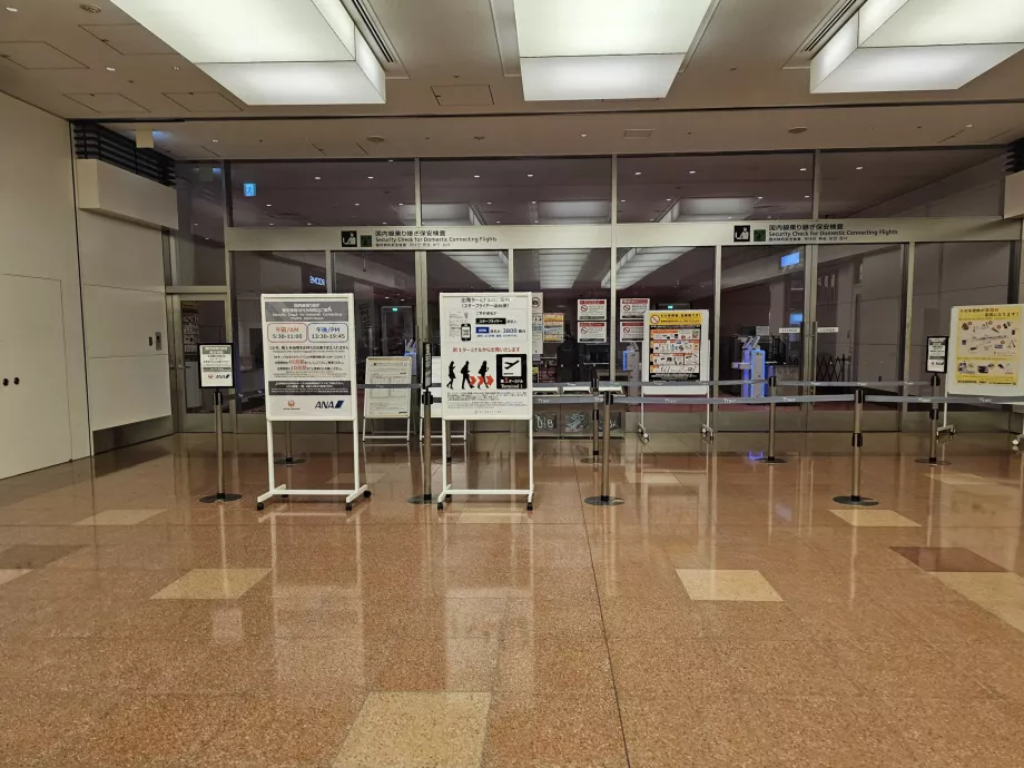 Vidaus jungiamųjų skrydžių saugumo patikra