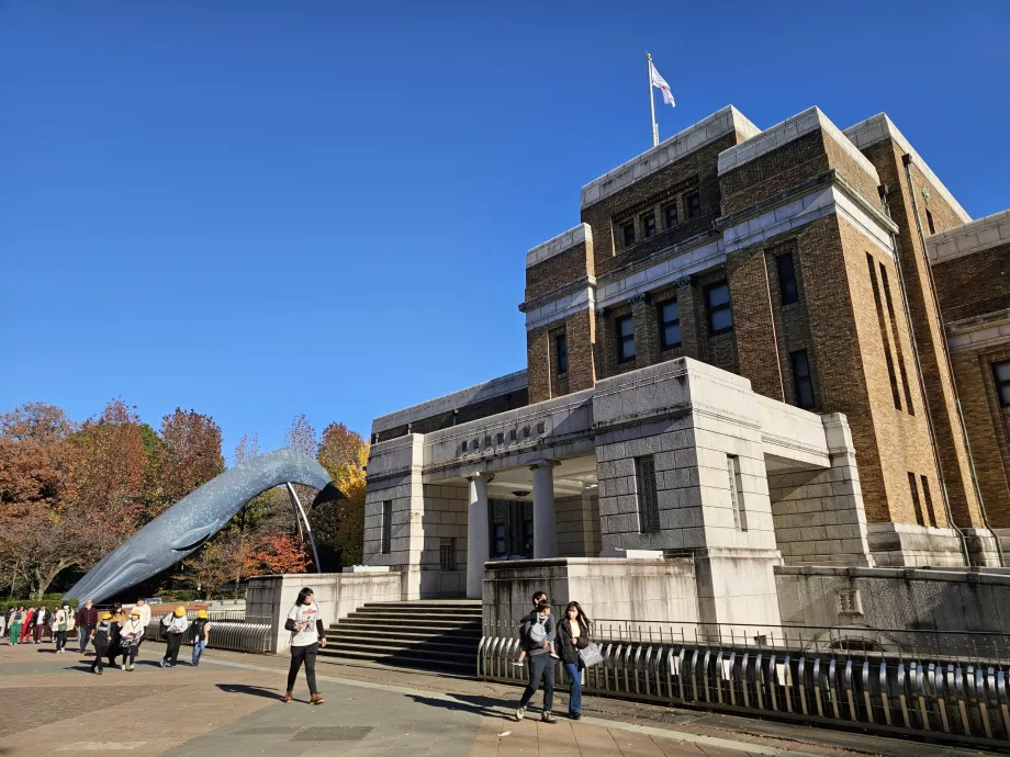 Gamtos istorijos muziejus