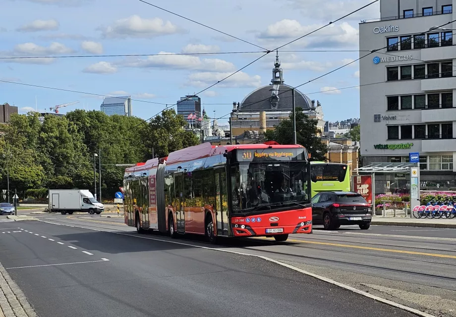 Miesto autobusai