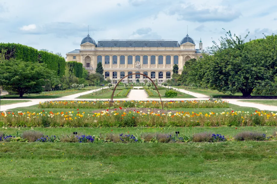 Gamtos istorijos muziejus Jardin des Plantes