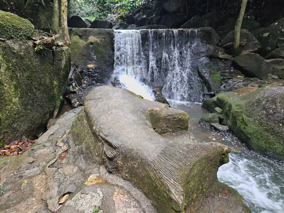 Tamrin Magiškas sodas