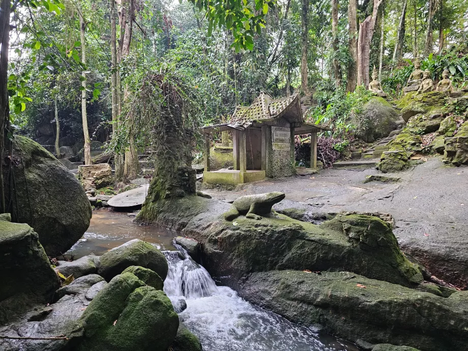 Tamrin Magiškas sodas