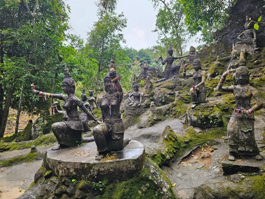 Tamrin Magiškas sodas