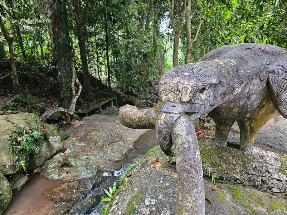 Tamrin Magiškas sodas
