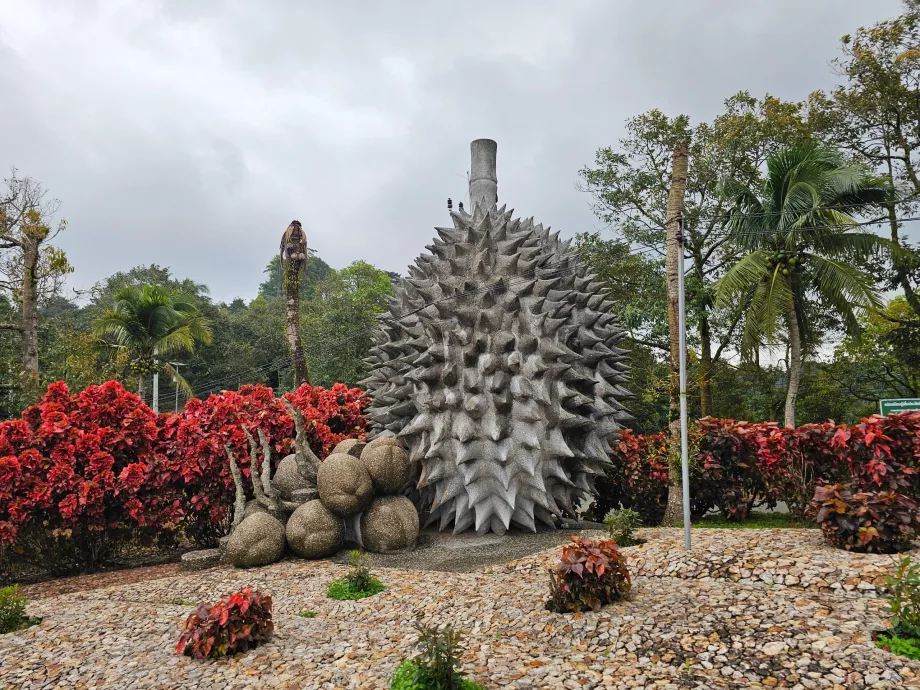 Magiški akmens vaisiai