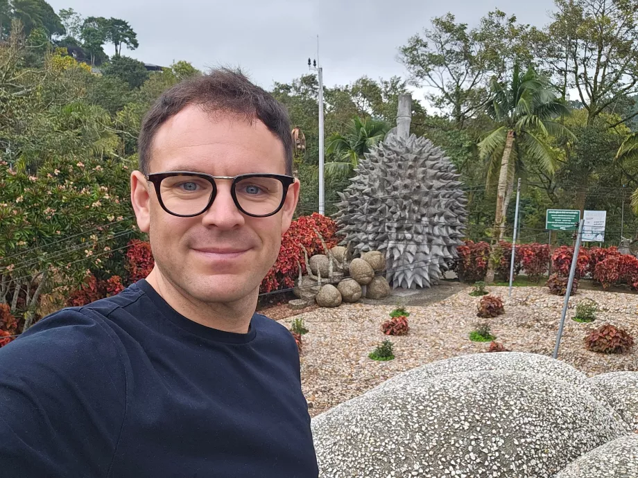 Magiški akmens vaisiai