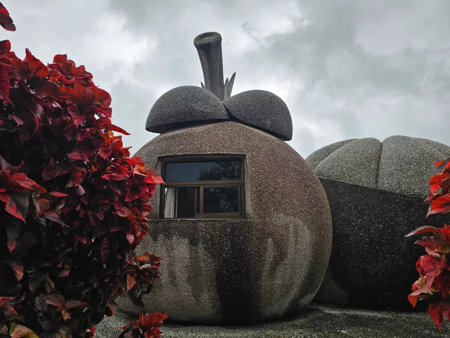 Magiški akmens vaisiai