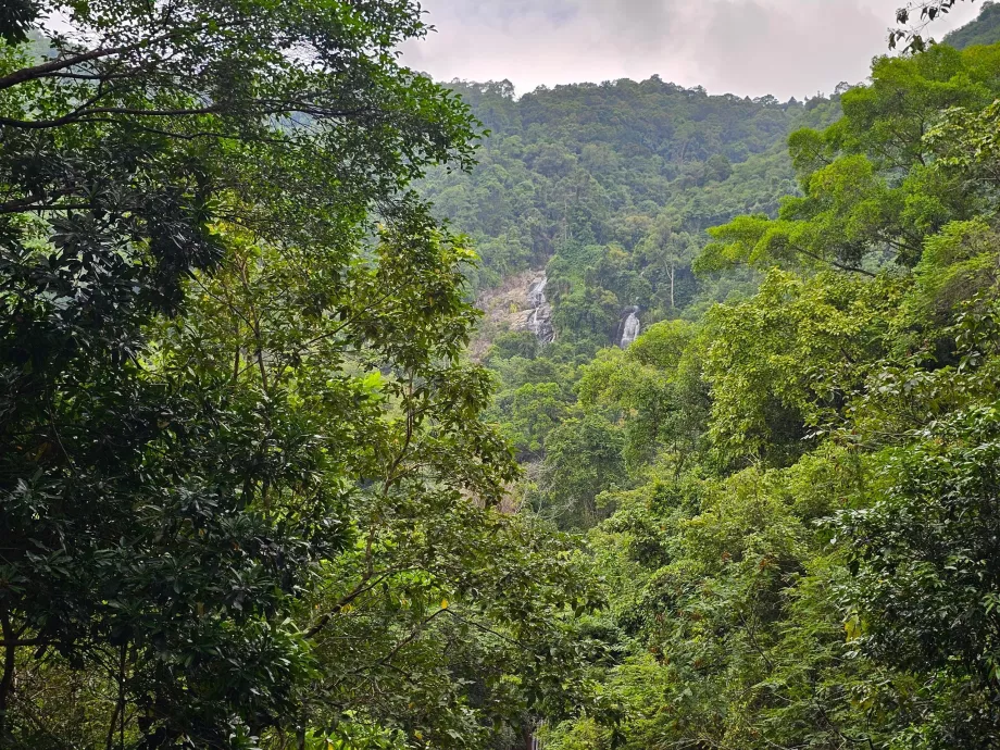 Namuang 2 ir 3 kriokliai