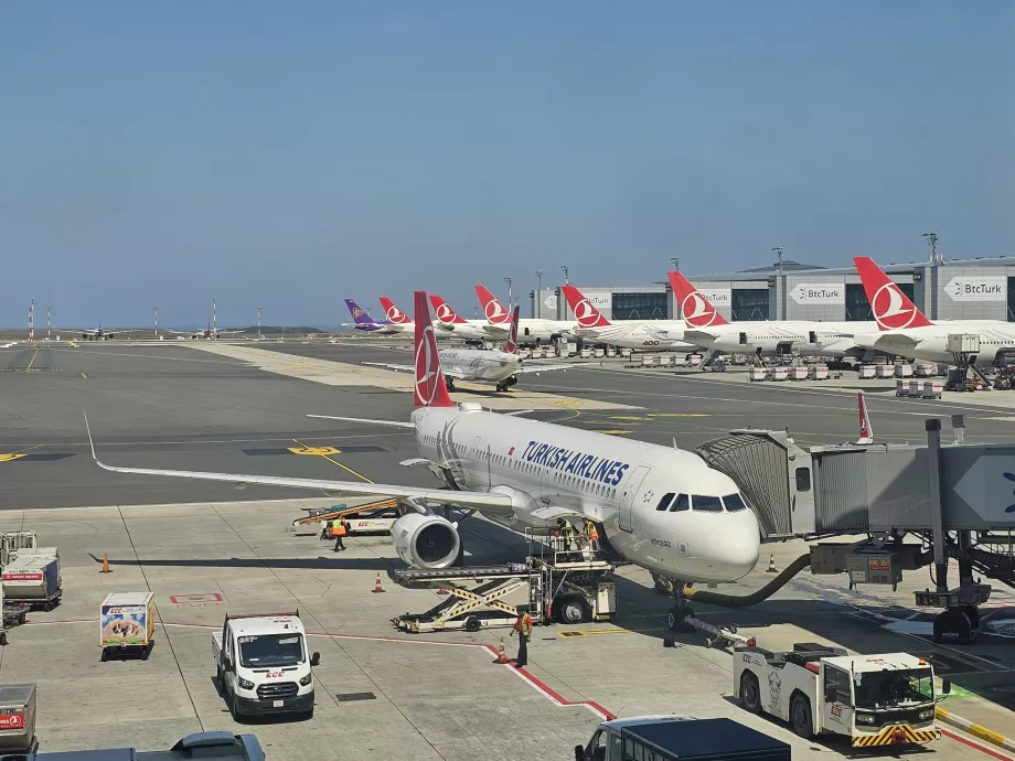 "Turkish Airlines" orlaivis Stambulo oro uoste