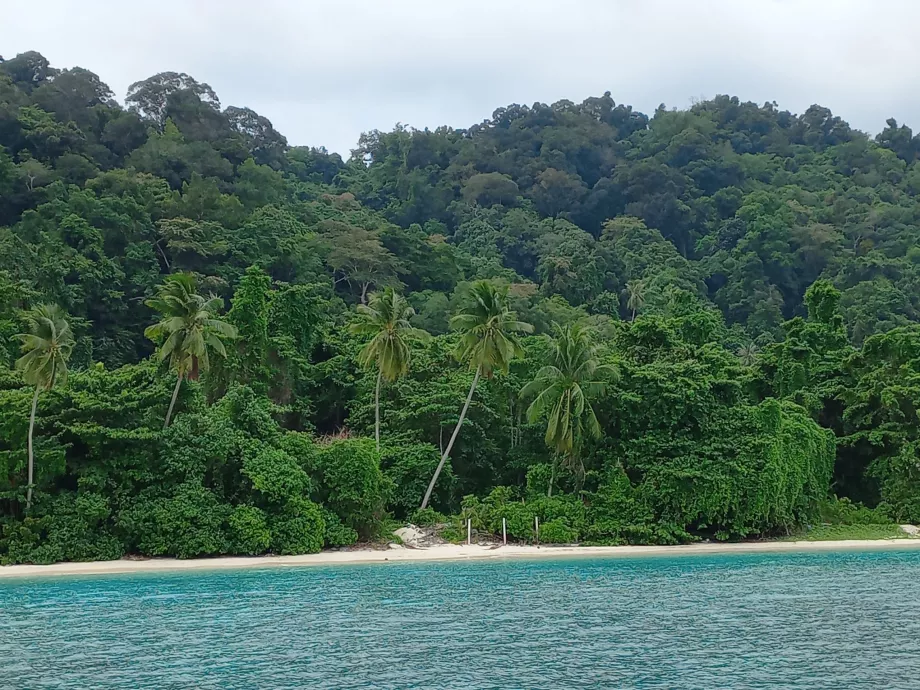 Teluk Pauh paplūdimys, Perhentiany, Malaizija