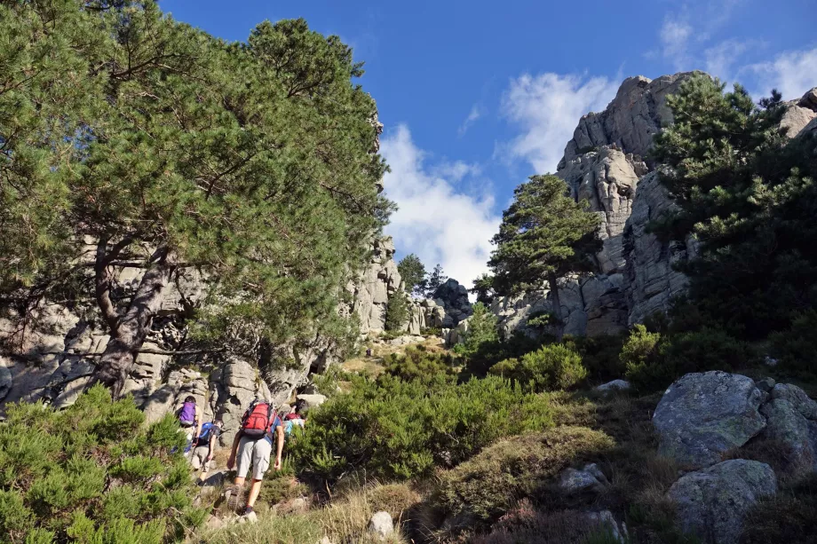 Turizmas Bavella