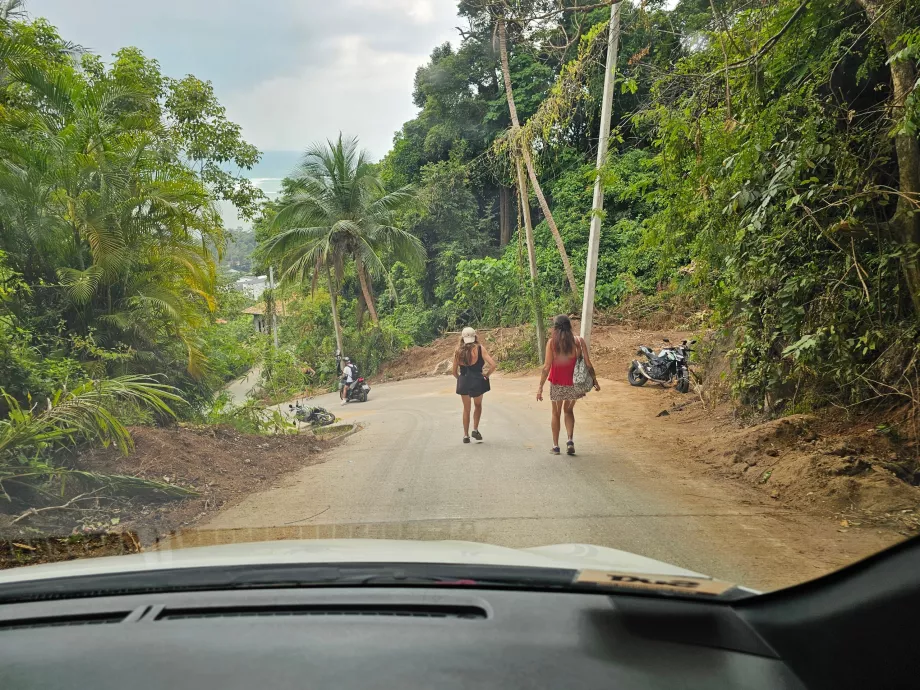 Stropus kalnas - kelias į Perdangos akmenis