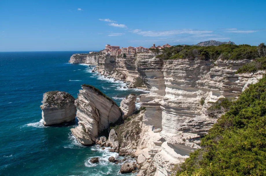 Bonifacio uolos