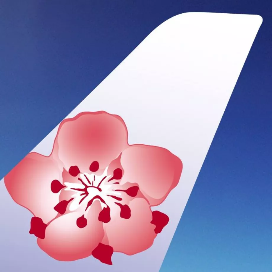 "China Airlines" logotipas