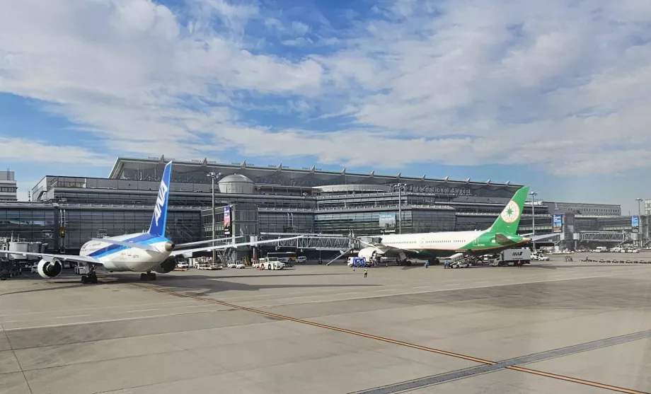 Tarptautinis 3 terminalas