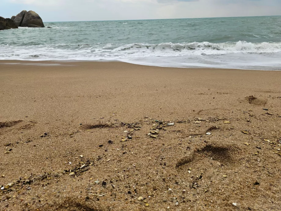 Coral Cove paplūdimys, smėlio kokybė