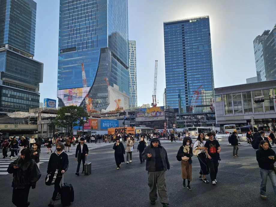 Šibujos sankryža dieną