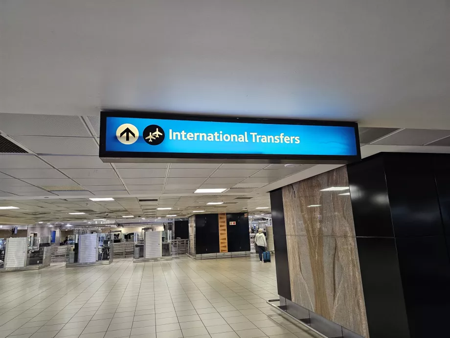 Tarptautinis pervedimas