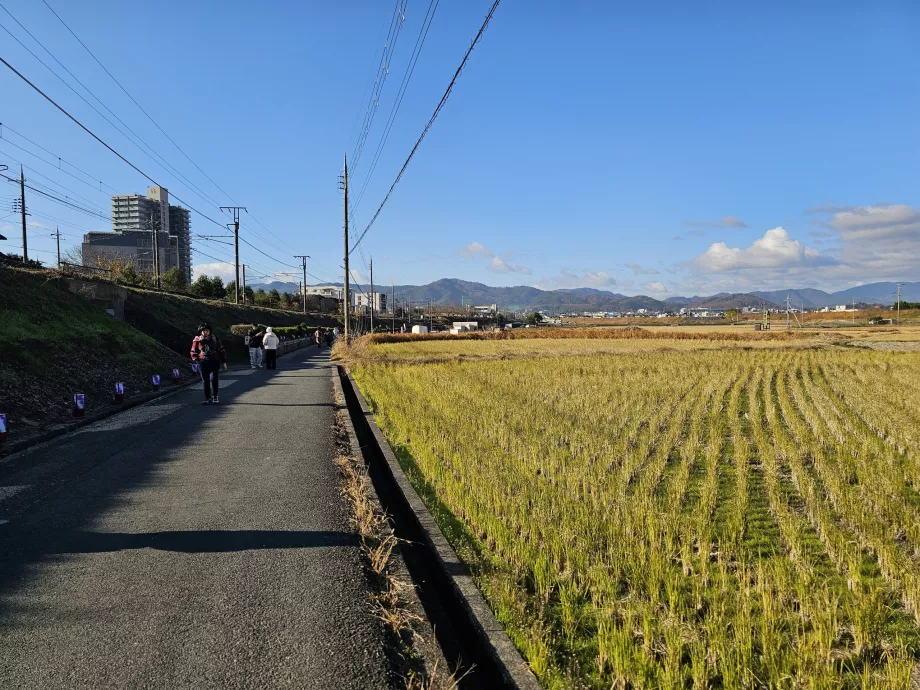 Pėsčiomis nuo stoties iki laivo