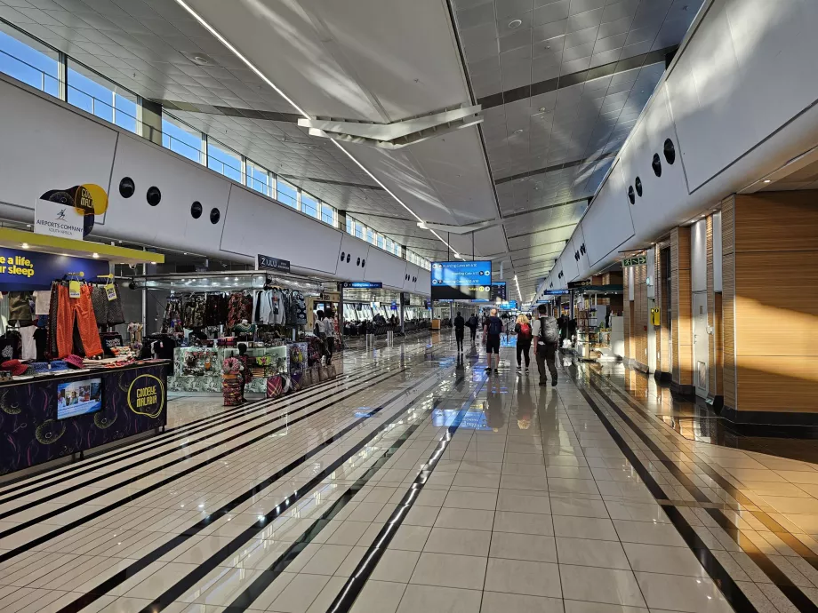 Tarptautinio tranzito skyrius