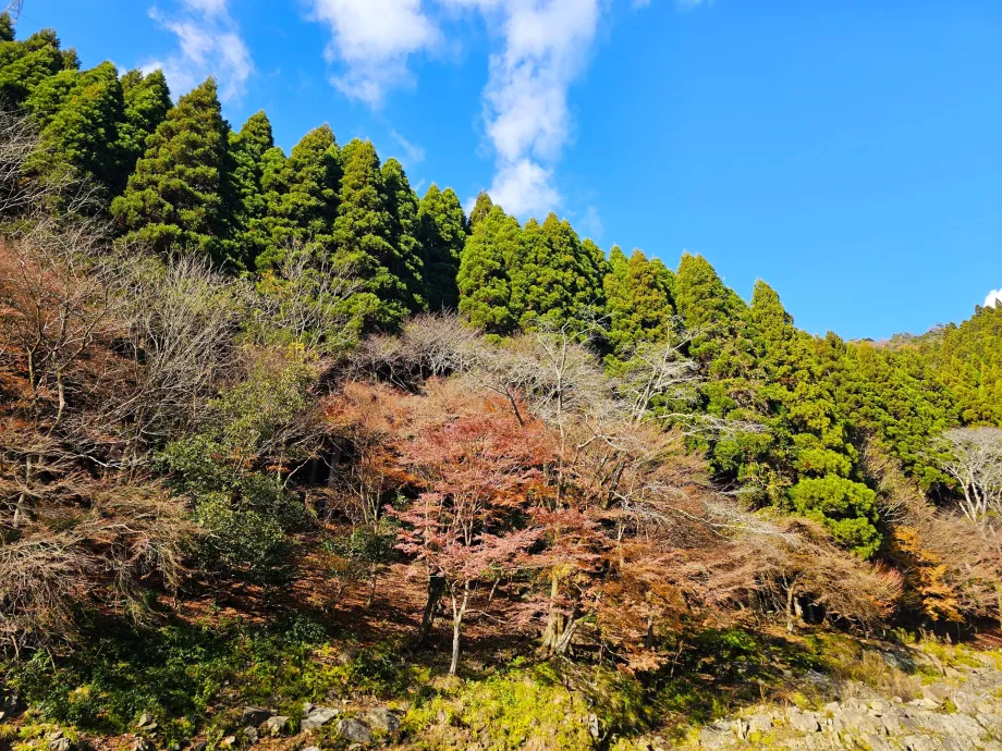 Plaukiojimas valtimis