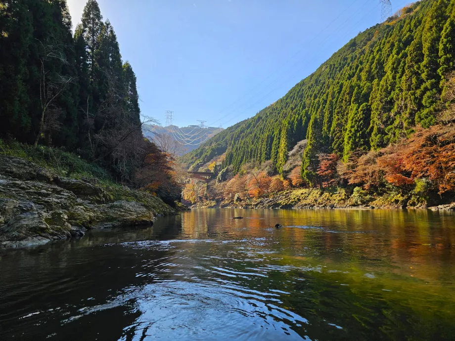 Plaukiojimas valtimis