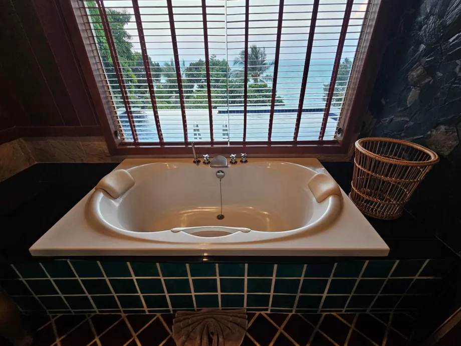 Vonios kambaryje esanti vonia