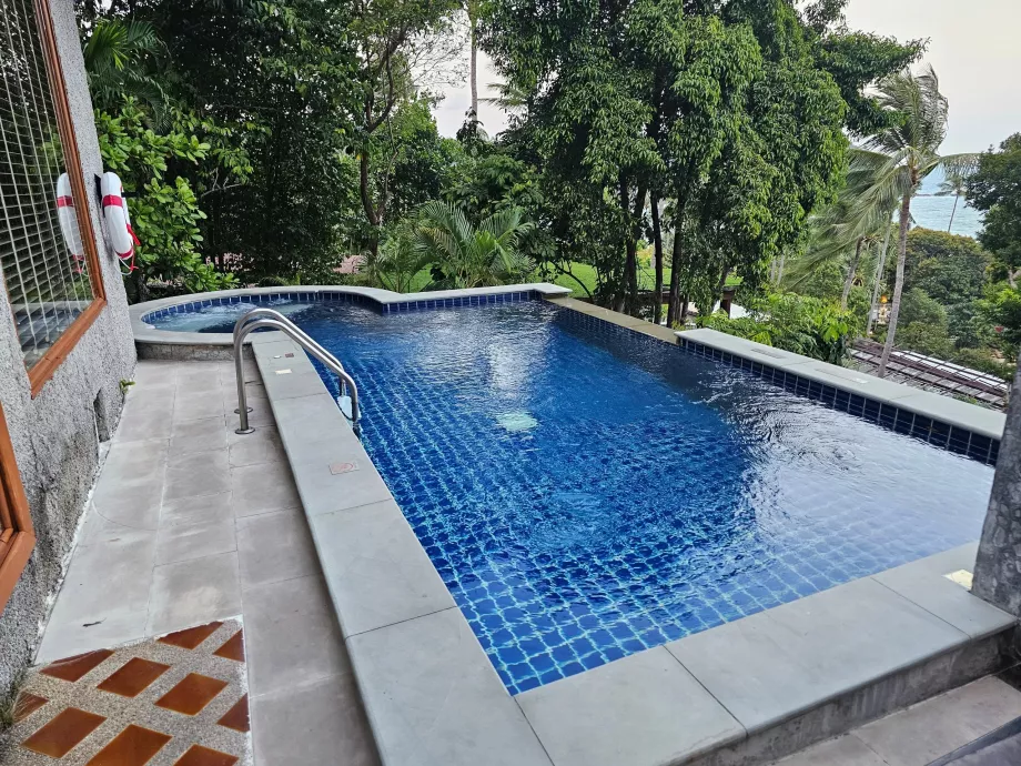 Privatus baseinas mūsų viloje