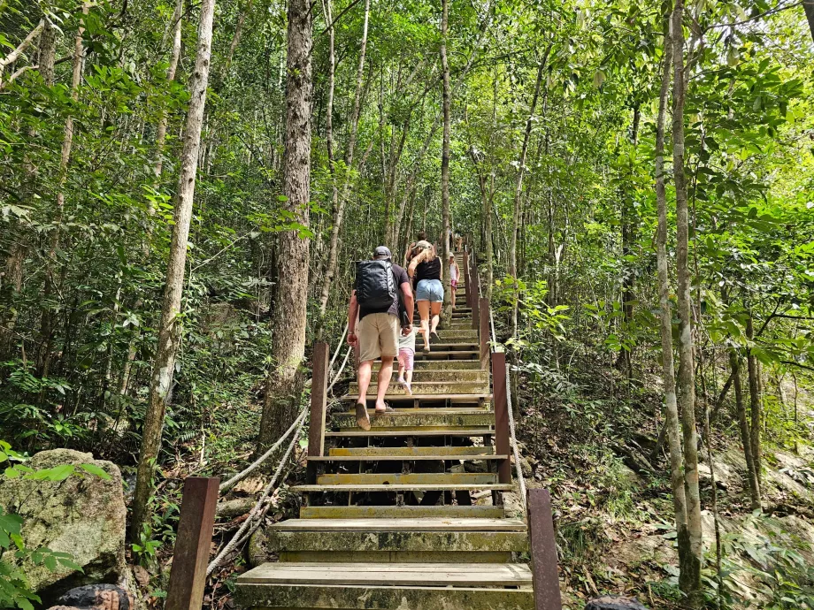 Kelias prie krioklių