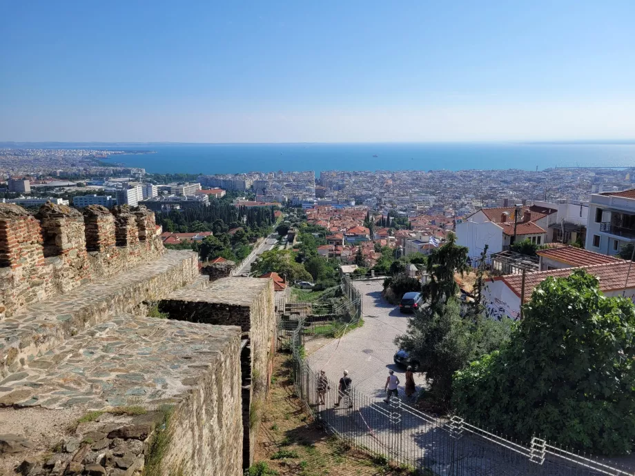 Trigoniono vaizdas