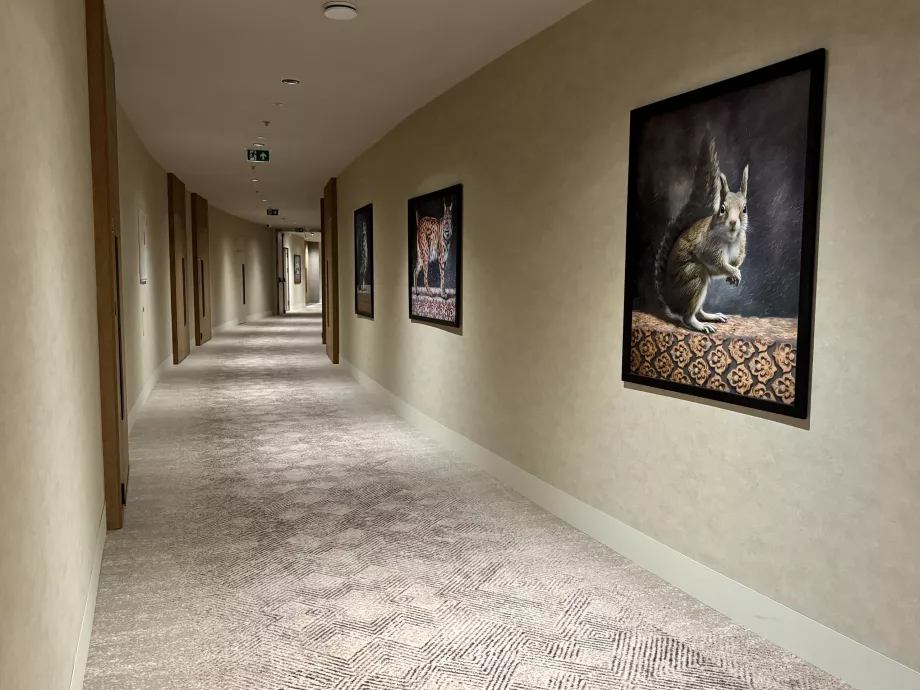 Koridorius į kambarius