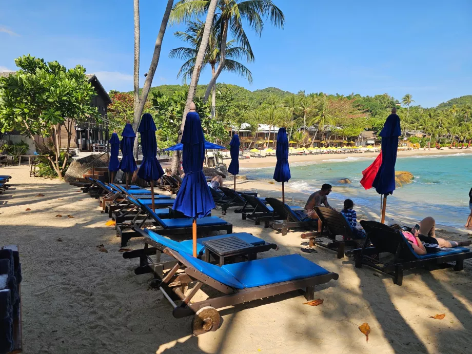 Viešbučio paplūdimys