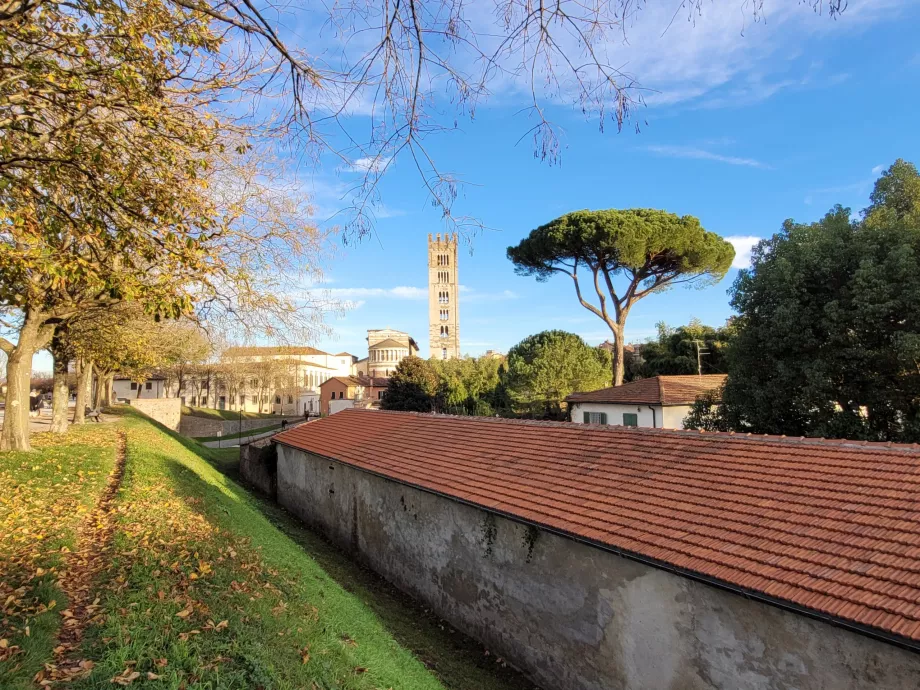 San Frediano bažnyčios vaizdas nuo sienų