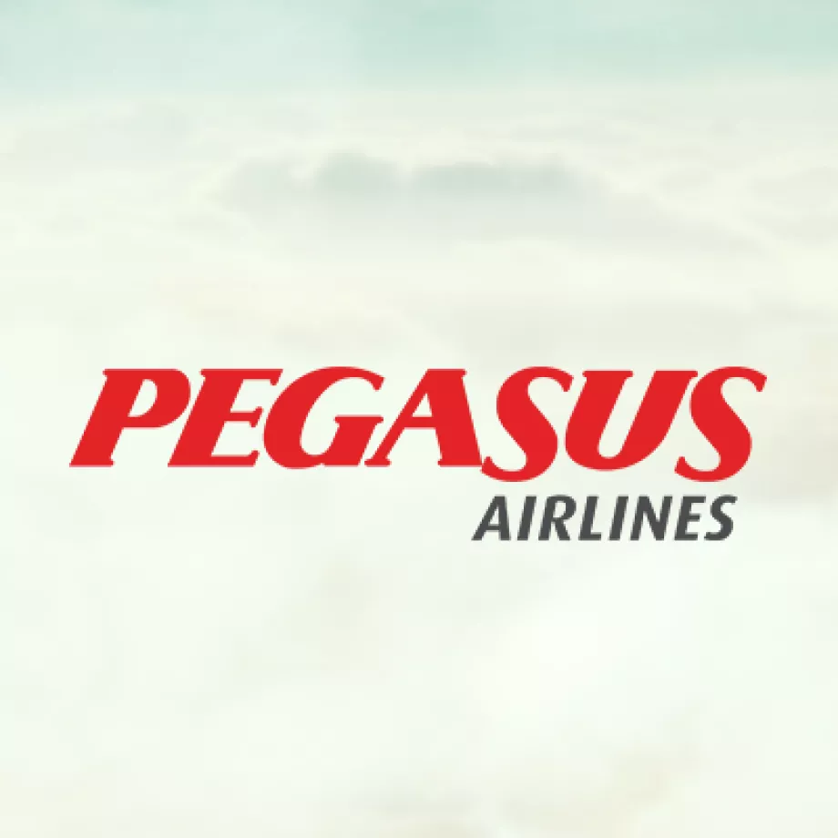 "Pegasus Airlines" flypgs.com logotipas