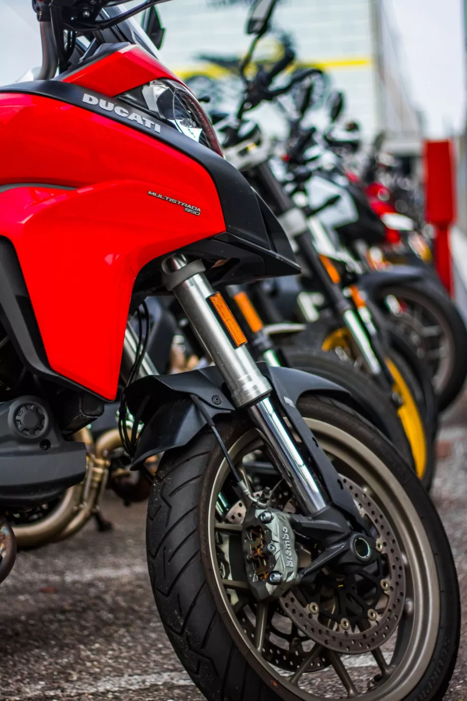 Ducati Bolonija